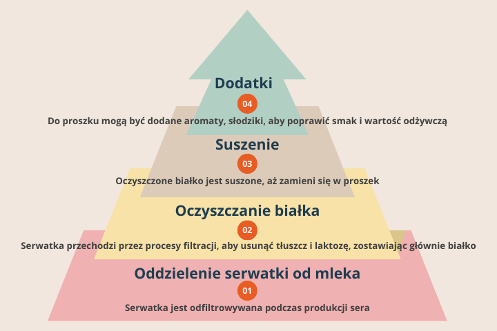 4 etapy produkcji odżywki białkowej